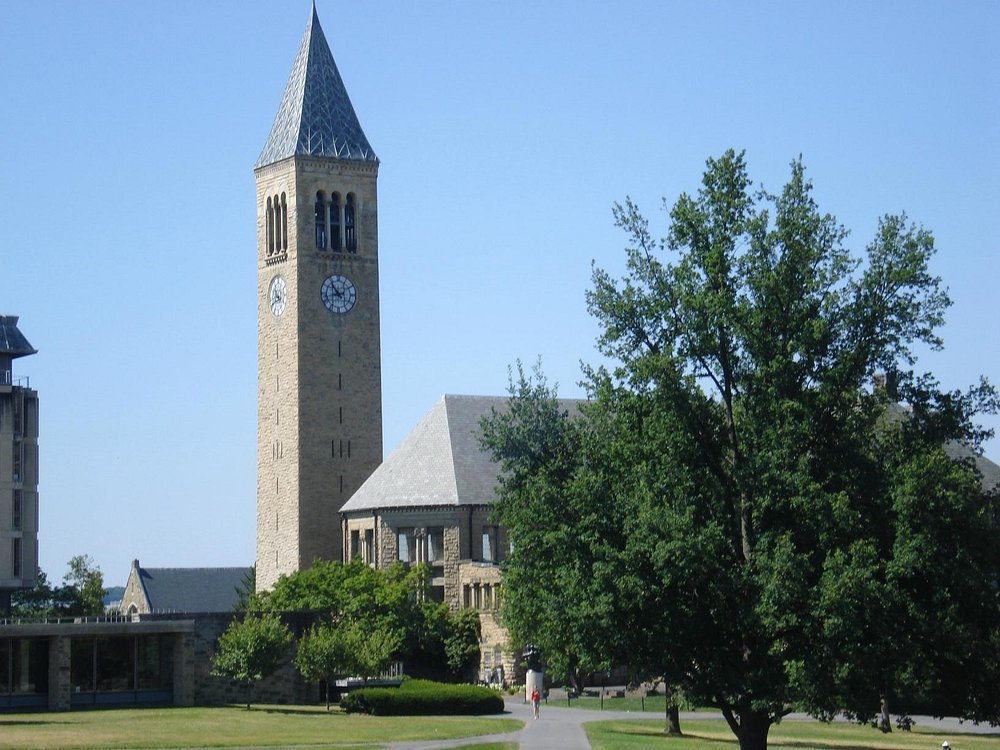 A university campus building with stone architecture surrounded by trees.