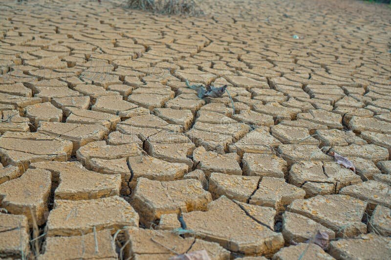 lose-up of dry, cracked earth under a hazy, heat-affected sky.