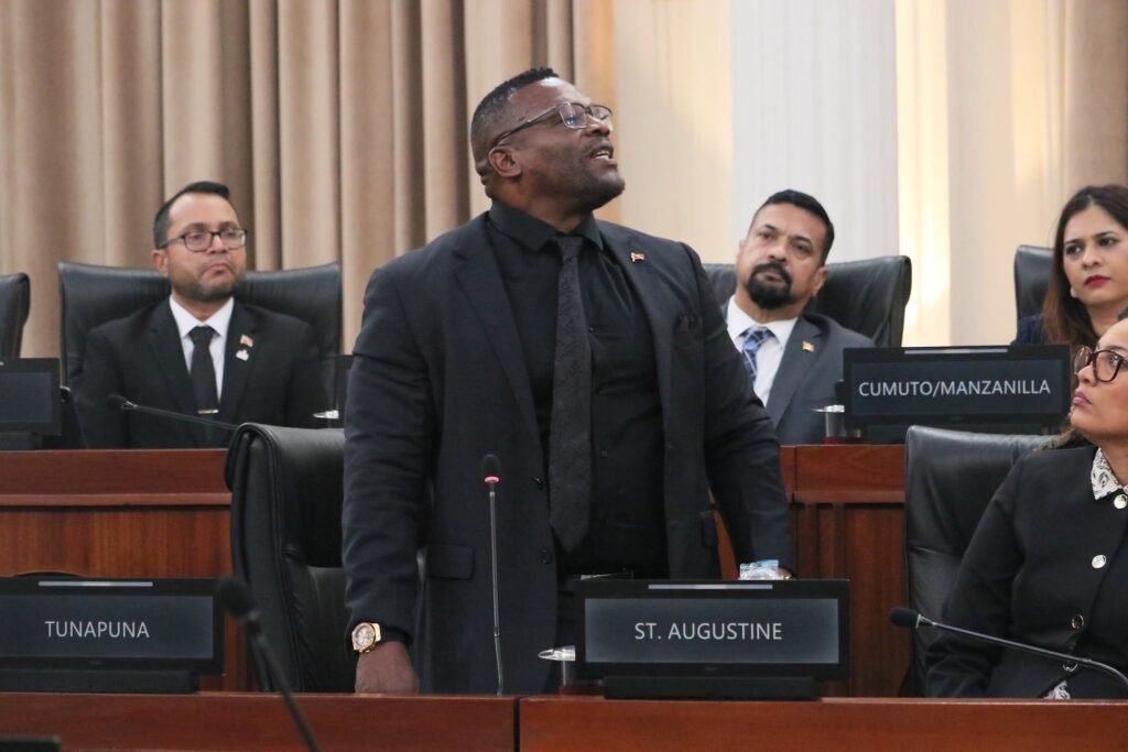 A man in formal attire speaks at a podium inside a parliamentary chamber.