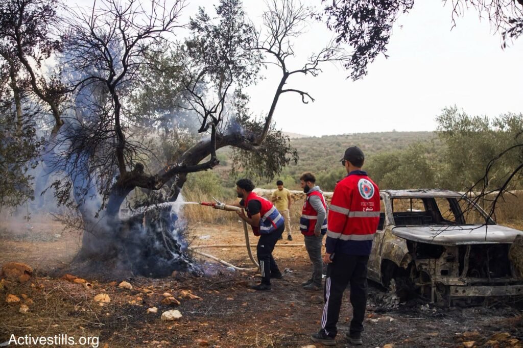 Firefighters spraying water on a olive tree near a burned car 