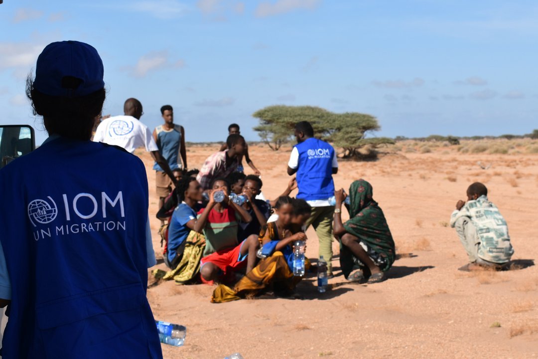 Aid workers in IOM vests