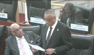 A minister in a suit speaking from a bench in the Senate chamber.