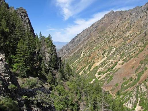 A wooded mountain canyon.